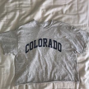 Light grey John Galt Colorado cropped t-shirt